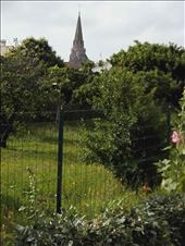 I'le de Re -- view of church steeple from cottage: by billh, Views[383]