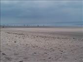 I'le de Re.10: by billh, Views[317]
