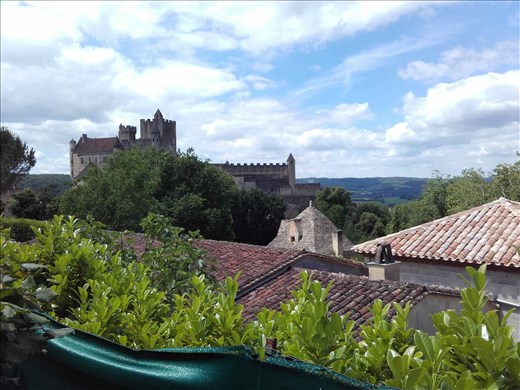 Chateau de Beynac.04