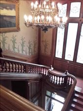 Lyon -- Lumiere brothers -- staircase: by billh, Views[315]