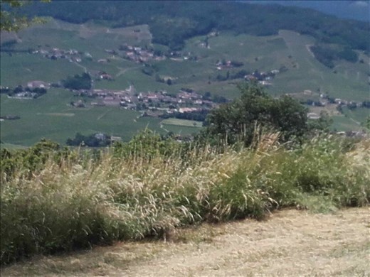 Beaujolais -- view from the church on Mt. Brouilly.01