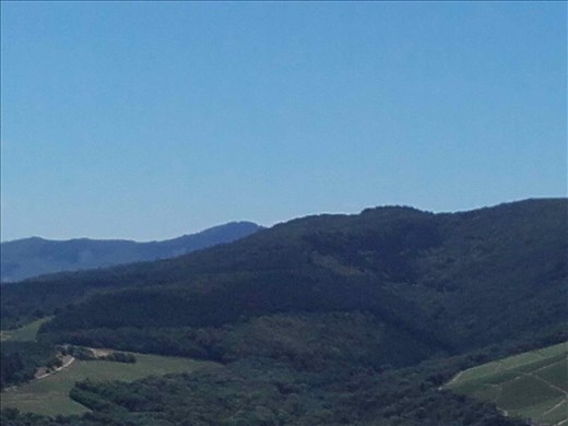 Beaujolais -- vineyards.05