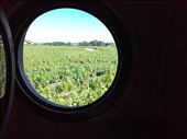Beaujolais -- Roulotte Viticole (circus wagon) -- view from window of vineyards: by billh, Views[326]