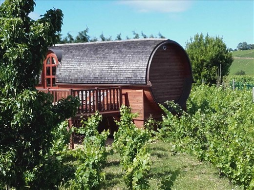 Beaujolais -- Roulotte Viticole (circus wagon) exterior