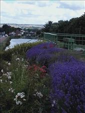 Canal du Centre -- near Saint Julian sur Dheume.03: by billh, Views[384]