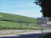 Chablis vineyards.01: by billh, Views[365]