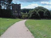 Fountains Abbey -- entry across meadow with sheep: by billh, Views[224]