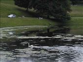 Fountains Abbey -- Abbey ruins.08: by billh, Views[315]