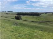Hadrian's Wall.06: by billh, Views[268]