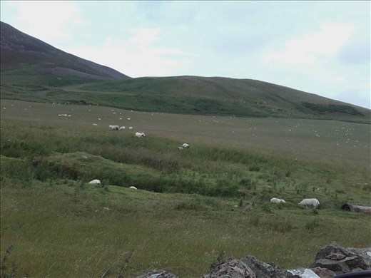 Scottish countryside.02