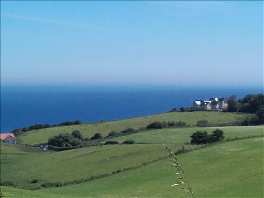 St Abbs -- view along the road in