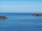 St Abbs.04: by billh, Views[250]