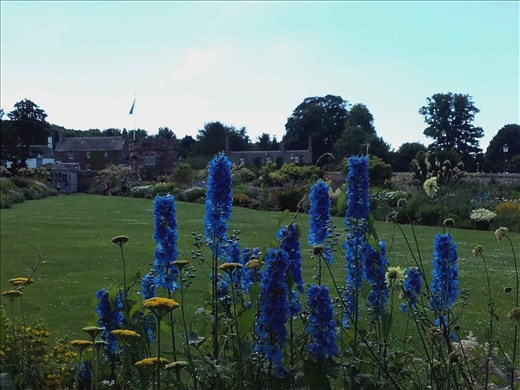 Direlton Castle -- formal gardens.01