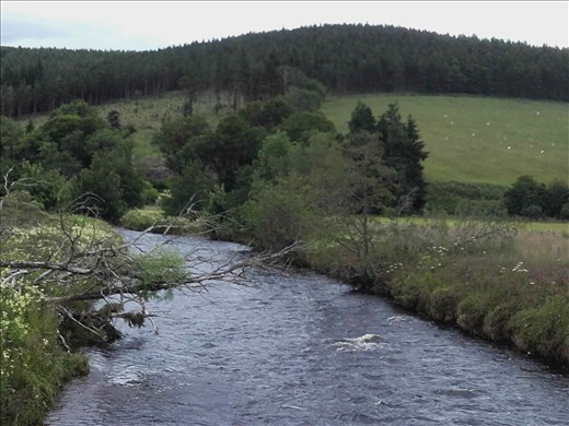 Scottish highlands.06