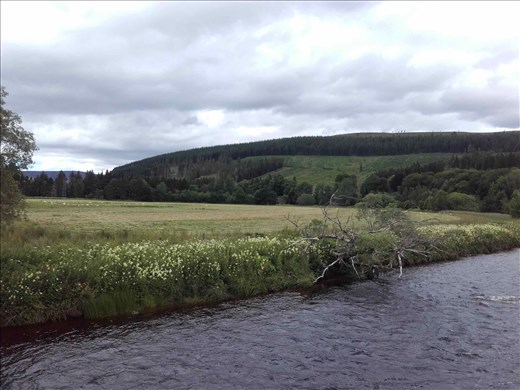 Scottish highlands.03