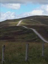 Scottish highlands.07: by billh, Views[341]