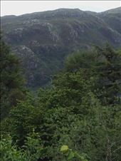 Scottish Highlands -- Ft William to Mallaig train.09: by billh, Views[364]