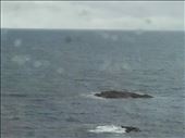 Scottish Highlands -- Ft William to Mallaig train.06: by billh, Views[397]