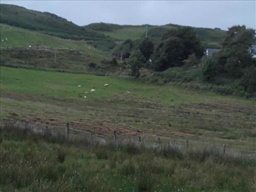 Scotland -- Oban -- view the 