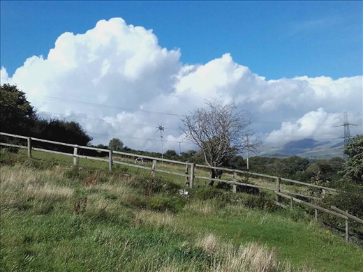 Northern Wales -- Pentrefelin -- backyard view