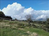 Northern Wales -- Pentrefelin -- backyard view: by billh, Views[260]