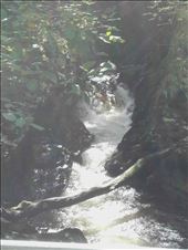 Wales -- Devil's Bridge -- waterfalls at foot of bridge: by billh, Views[317]