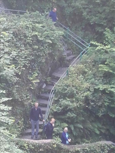 Wales -- Devil's Bridge -- stairs down.02