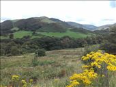 Wales -- Devil's Bridge -- view driving to bridge.01: by billh, Views[349]