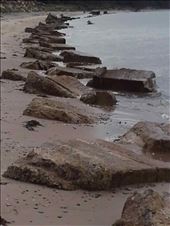 Northern Scotland -- Roseisle -- concrete blocks from WWII defences: by billh, Views[320]