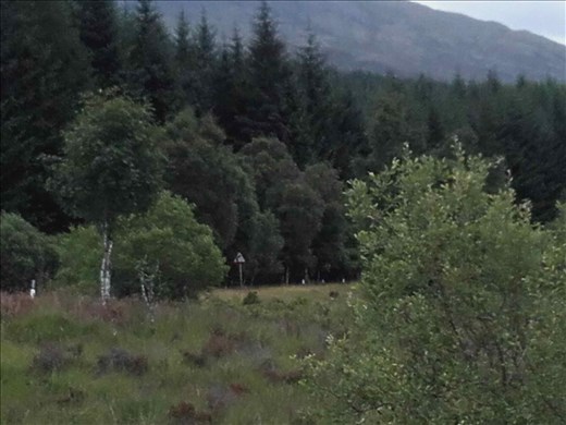 Northwest rural Scotland -- mountains.01