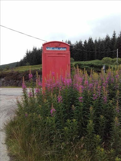 Northwest rural Scotland -- abandoned metal phone booth.03