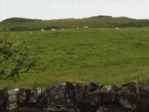 Scotland -- fields surrounding Aberlemno Stones.05