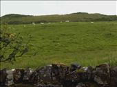 Scotland -- fields surrounding Aberlemno Stones.05: by billh, Views[315]