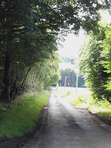 Scotland -- road leading to Aberlemno Stones