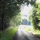 Scotland -- road leading to Aberlemno Stones Views[256]