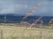 Scotland -- fields surrounding Aberlemno Stones.01: by billh, Views[270]