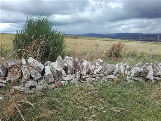 Scotland -- fields surrounding Aberlemno Stones.03