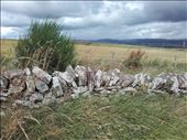 Scotland -- fields surrounding Aberlemno Stones.03: by billh, Views[236]