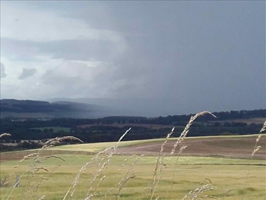 Scotland -- fields surrounding Aberlemno Stones.04