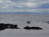 Scotland -- Arbroath coastline.17: by billh, Views[389]