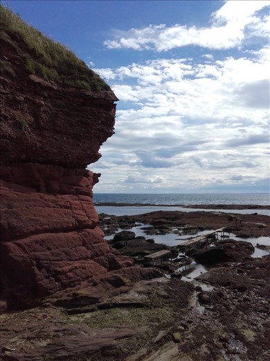 Scotland -- Arbroath coastline.07