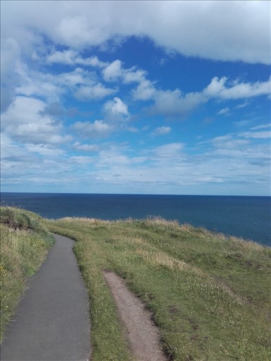 Scotland -- Arbroath coastline.21
