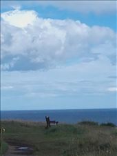Scotland -- Arbroath coastline.19: by billh, Views[359]