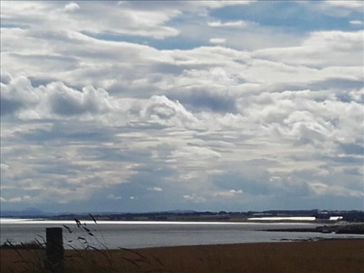 Scotland -- Arbroath coastline.05