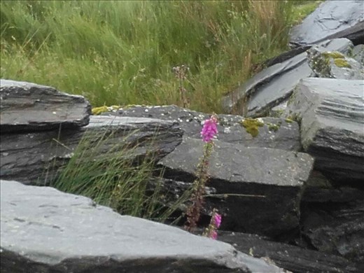Northern Wales -- Snowdonia mountains.04