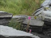 Northern Wales -- Snowdonia mountains.04: by billh, Views[306]