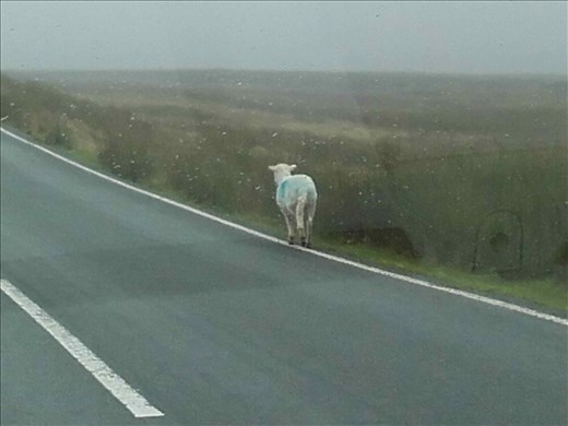 Northern Wales -- Snowdonia mountains.02