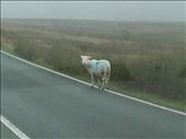 Northern Wales -- Snowdonia mountains.03: by billh, Views[325]