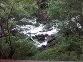 Northern Wales -- Snowdonia -- Swallow Falls.05: by billh, Views[320]