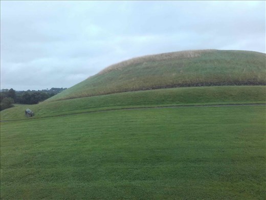 Ireland -- Bru Na Boine -- circular mound.01